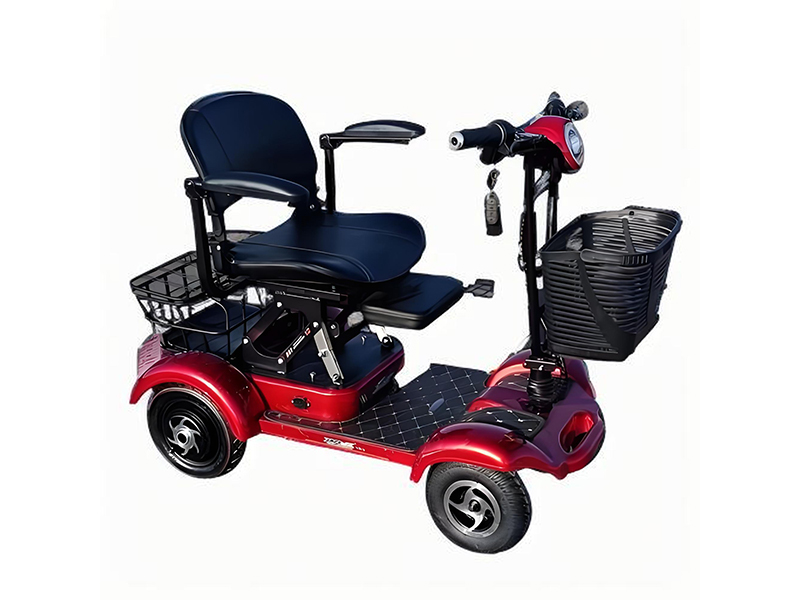 Disabled person using accessible vehicle with low step-in height